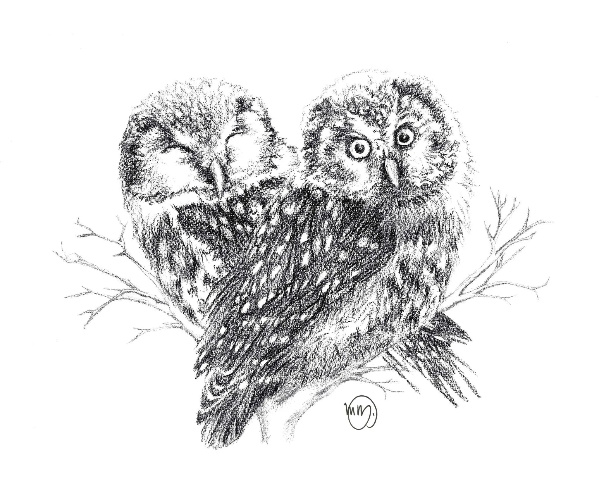 Adorable Owls in love