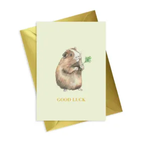 Animal Collection A6 Foiled Greeting Card Guinea Pig Good Luck