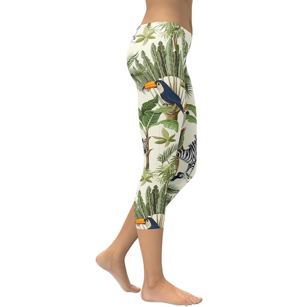 Animal Kingdom Capris