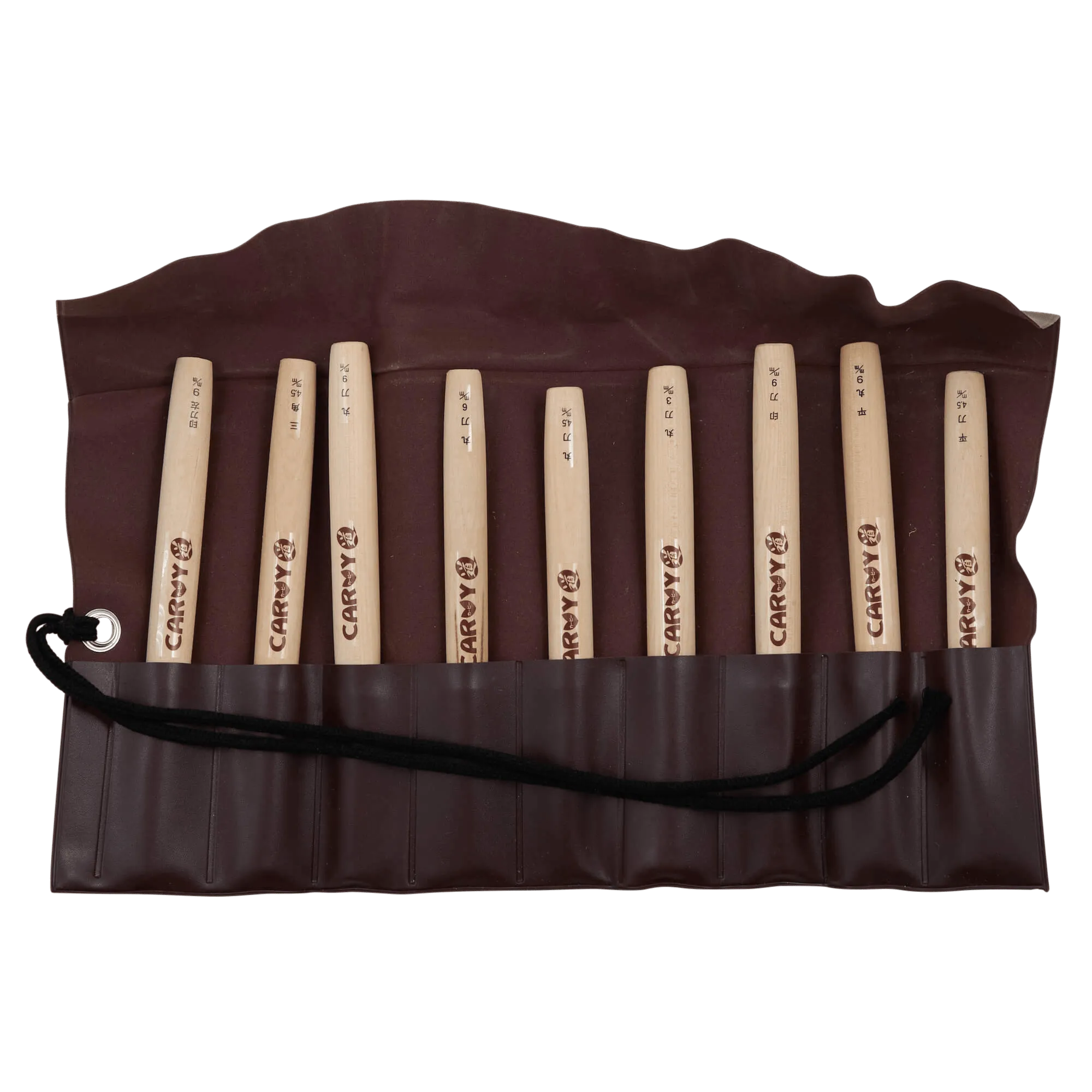 Carvy 9 Piece Carving Set